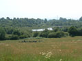 celtic park - stones.jpg